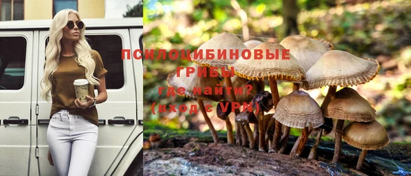 apvp Кукмор