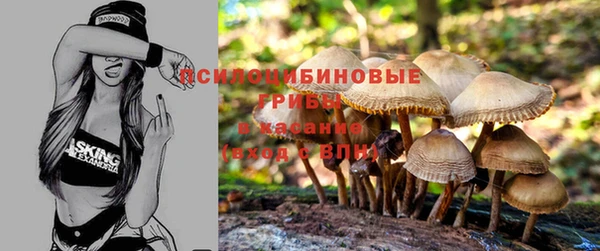 эйфоретик Куйбышев